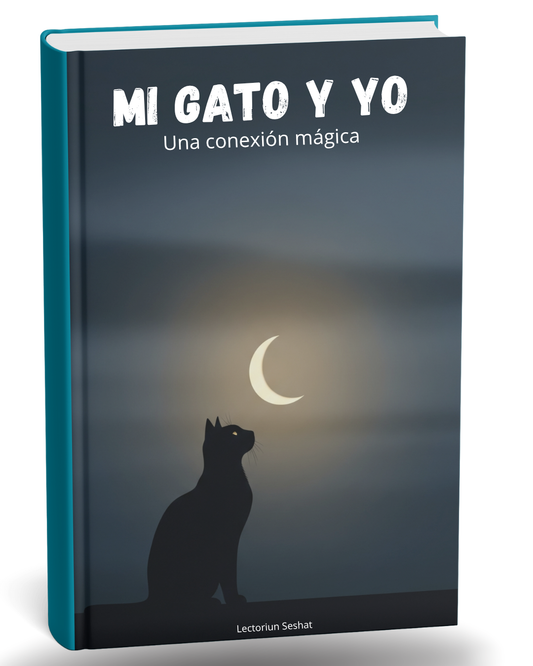 Mi gato y yo: una conexión mágica